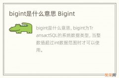 bigint是什么意思 Bigint