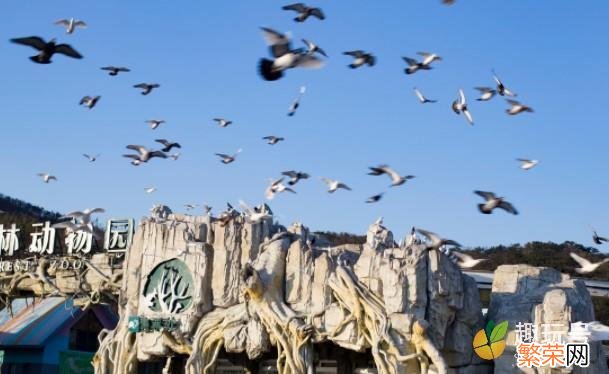 国庆大连游玩指南 大连有什么好玩的地方