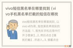 vivo手机黑名单拦截的短信在哪找 vivo短信黑名单在哪里找到