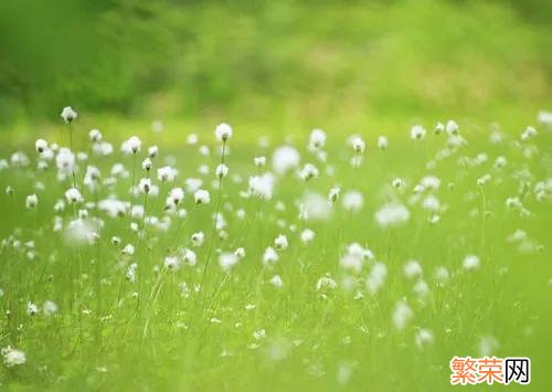 抖音女人生活文案有内 生活文案有内涵的句子