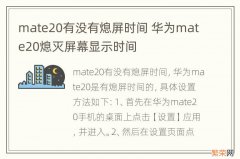 mate20有没有熄屏时间 华为mate20熄灭屏幕显示时间