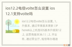 ios12.2电信volte怎么设置 ios12.1支持volte吗