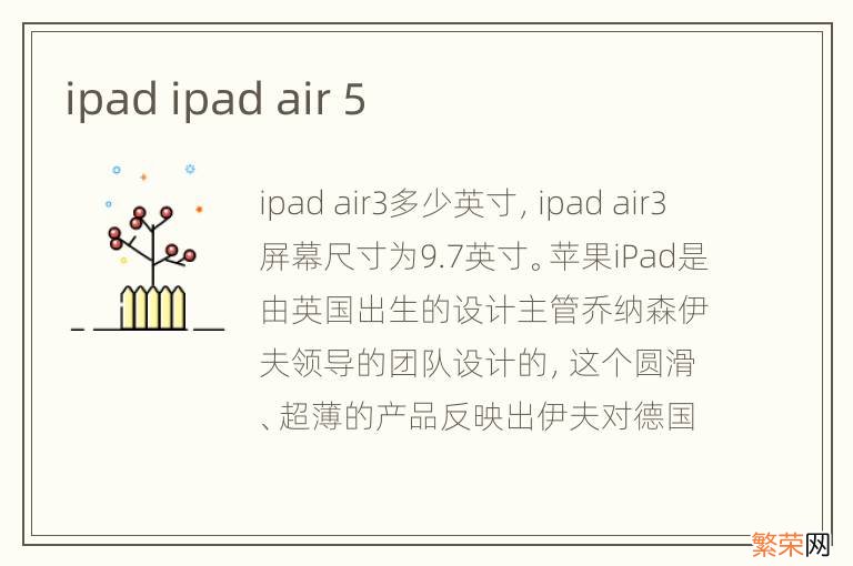 ipad ipad air 5