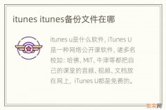 itunes itunes备份文件在哪