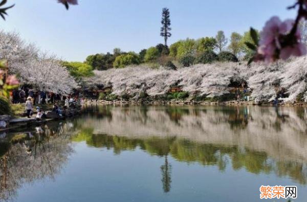 盘点长沙市一日游必去景点 长沙市十大旅游景点