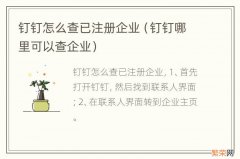 钉钉哪里可以查企业 钉钉怎么查已注册企业