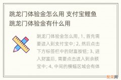 跳龙门体验金怎么用 支付宝鲤鱼跳龙门体验金有什么用