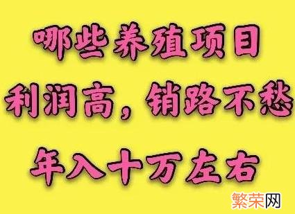 养殖什么赚钱快风险低 在家养殖什么赚钱