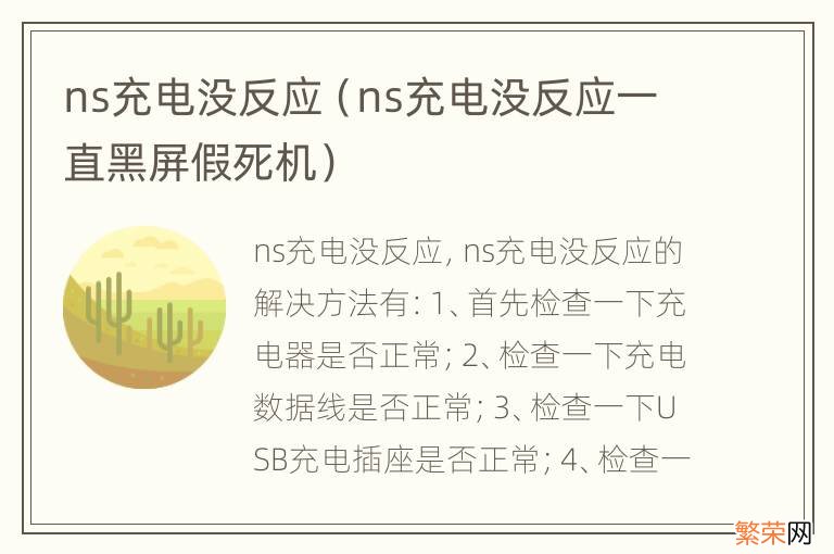 ns充电没反应一直黑屏假死机 ns充电没反应