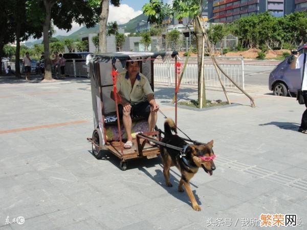 揭秘牛顿三大定律 牛顿三大定律分别是什么