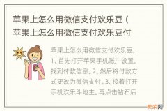 苹果上怎么用微信支付欢乐豆付款方式也改好了 苹果上怎么用微信支付欢乐豆