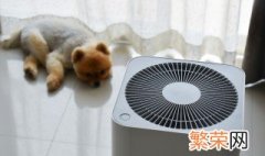 空气净化使用步骤 空气净化器怎么使用？