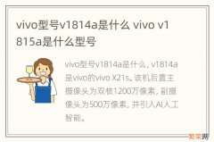 vivo型号v1814a是什么 vivo v1815a是什么型号