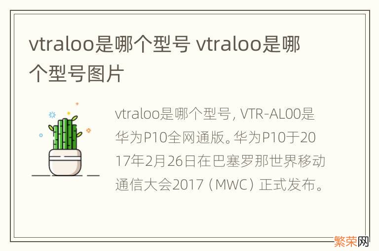 vtraloo是哪个型号 vtraloo是哪个型号图片