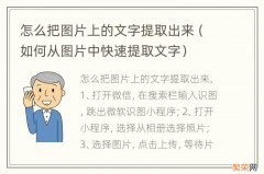 如何从图片中快速提取文字 怎么把图片上的文字提取出来