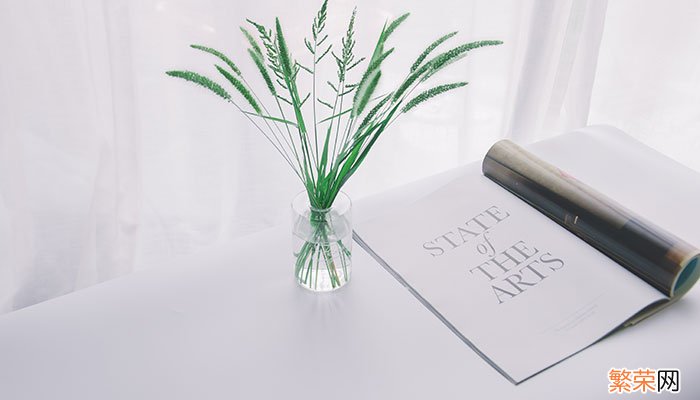 生活中的俗语有哪些 人们常用的俗语