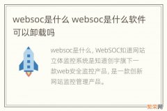 websoc是什么 websoc是什么软件可以卸载吗