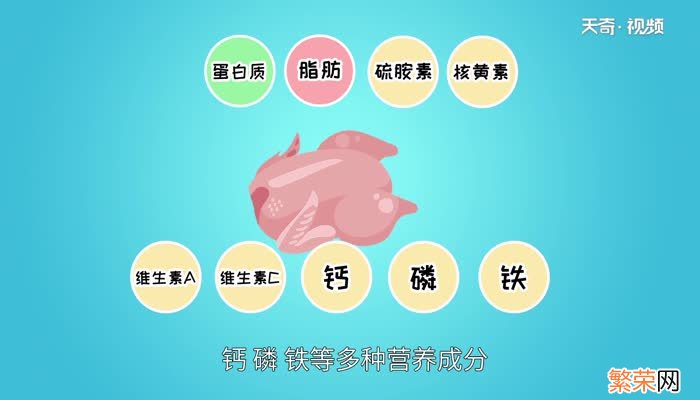 鸡肉是寒性食物吗鸡肉属于寒性吗