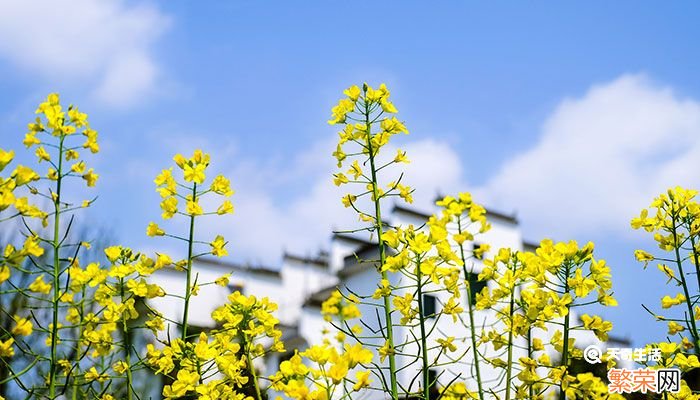 立夏是几月几日 立夏节气