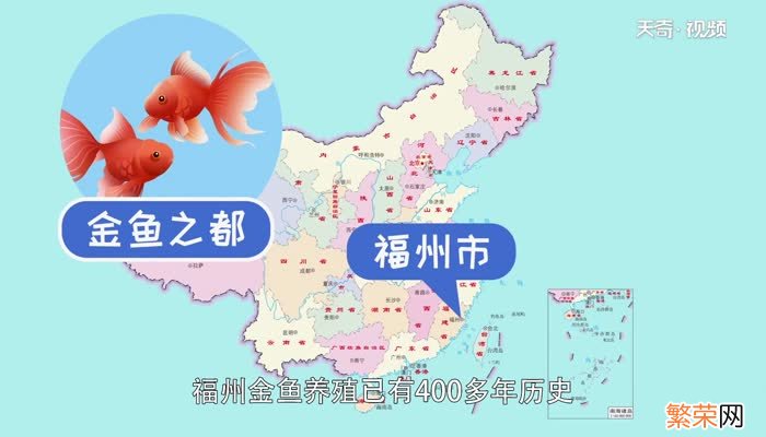 金鱼之都是哪个城市 哪个城市养金鱼出名