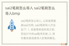 sai2笔刷怎么导入 sai2笔刷怎么导入bmp