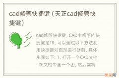 天正cad修剪快捷键 cad修剪快捷键