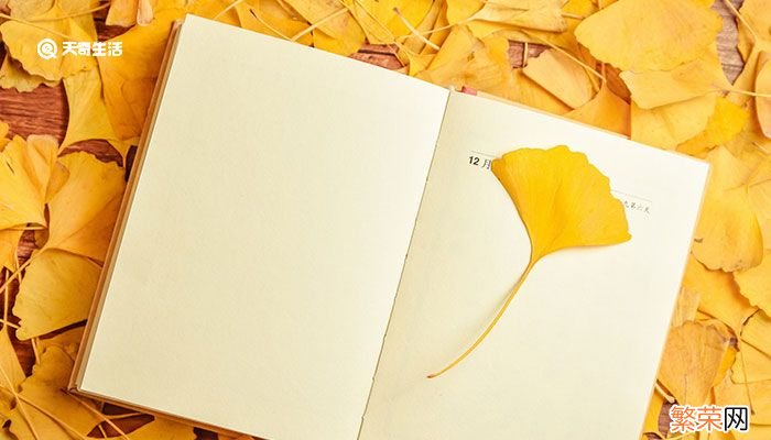 日记怎么写 日记如何写