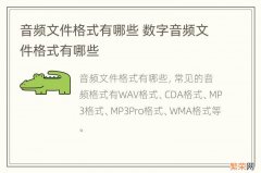 音频文件格式有哪些 数字音频文件格式有哪些