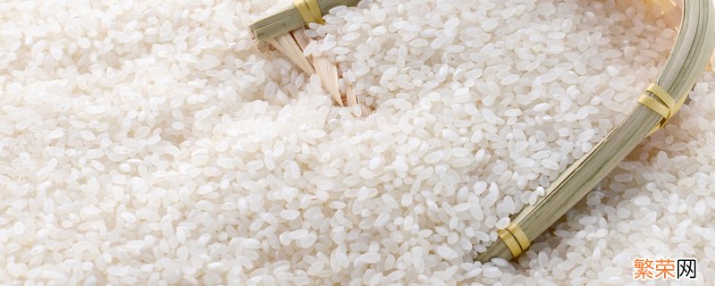 米饭的热量是多少 减肥期间吃多少米饭