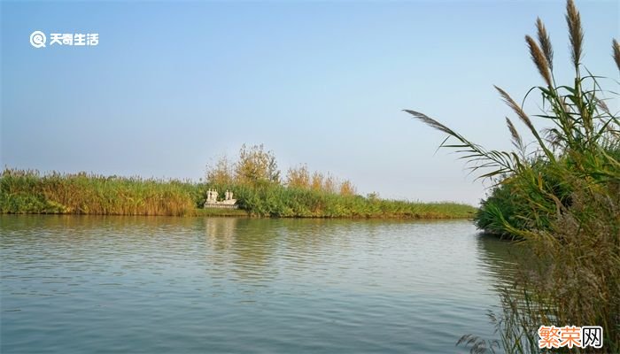 四大淡水湖分别是 四大淡水湖分别是什么湖