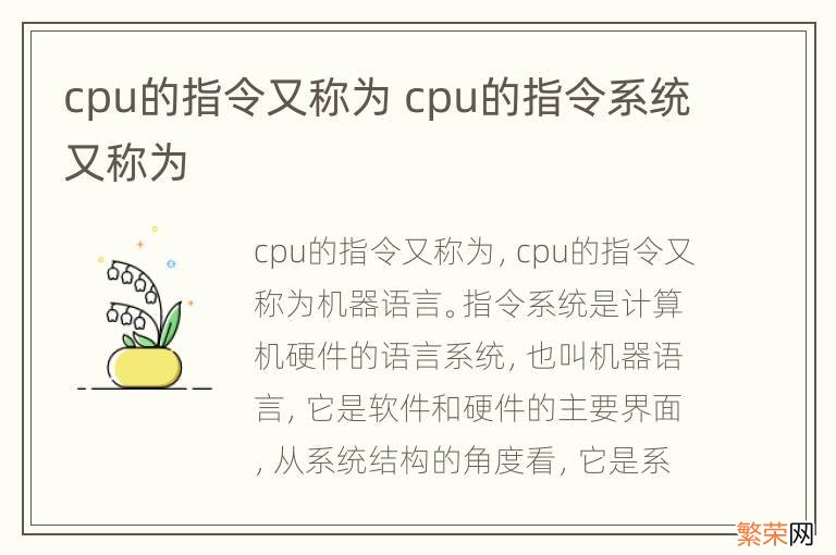 cpu的指令又称为 cpu的指令系统又称为