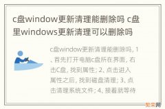 c盘window更新清理能删除吗 c盘里windows更新清理可以删除吗