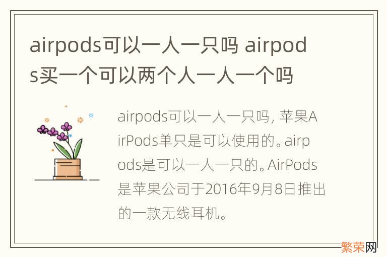 airpods可以一人一只吗 airpods买一个可以两个人一人一个吗