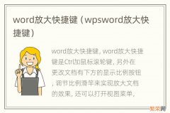 wpsword放大快捷键 word放大快捷键