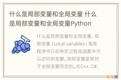 什么是局部变量和全局变量 什么是局部变量和全局变量Python