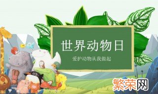 世界动物日主题 历年世界动物日主题是什么