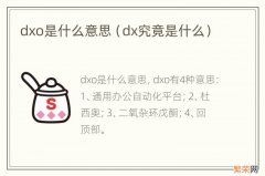 dx究竟是什么 dxo是什么意思