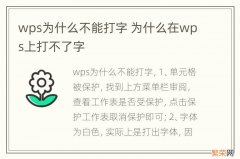 wps为什么不能打字 为什么在wps上打不了字