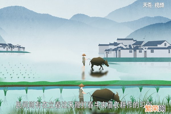 立春是什么意思