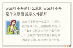 wps打不开是什么原因 wps打不开是什么原因 提示文件损坏