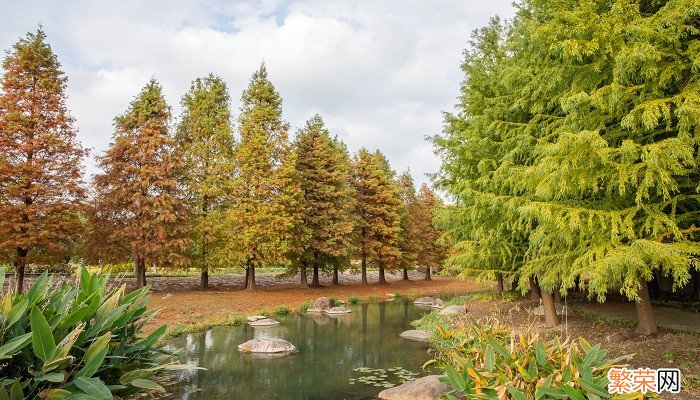 一句简短的风景句子 一句简短的风景句子发朋友圈