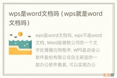 wps就是word文档吗 wps是word文档吗