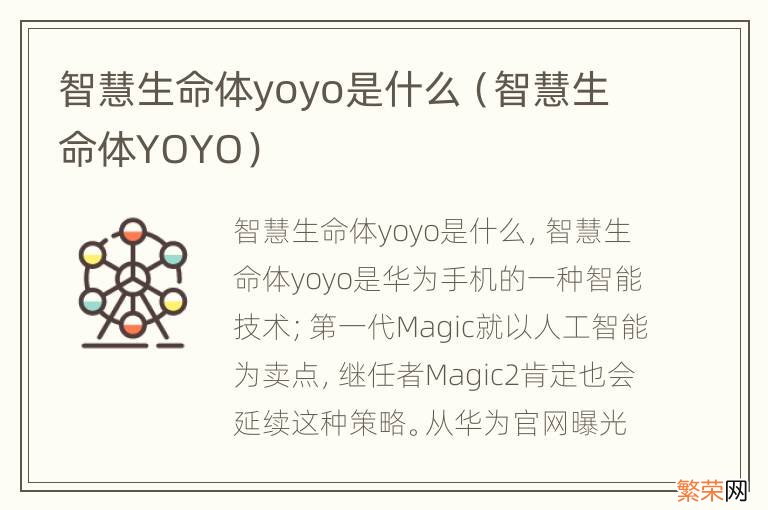 智慧生命体YOYO 智慧生命体yoyo是什么