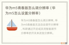 华为m5怎么设置分辨率 华为m5青春版怎么调分辨率