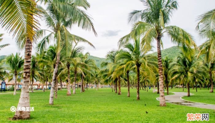 越南芽庄旅游攻略 芽庄旅游自由行