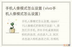 vivo手机人像模式怎么设置 手机人像模式怎么设置