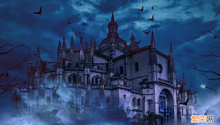 蝙蝠是鸟类吗 蝙蝠是不是鸟类