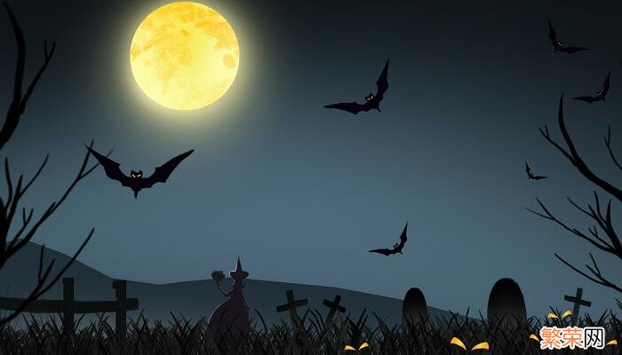 蝙蝠是鸟类吗 蝙蝠是不是鸟类