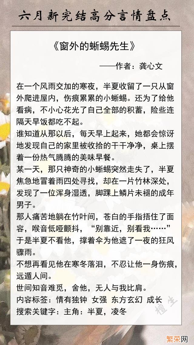 现代言情十大小说排行榜 超好看高质量的小说现代言情