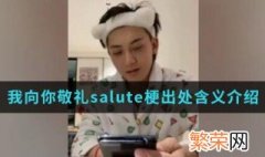 我向你敬礼salute是什么梗 我向你敬礼salute含义